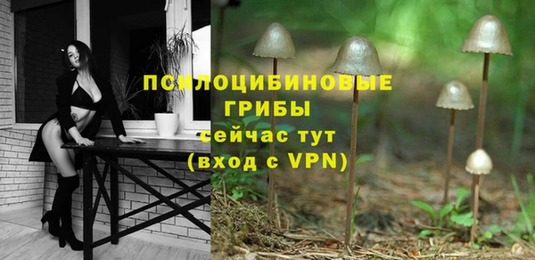 спайс Алзамай