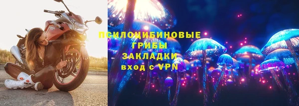 спайс Алзамай
