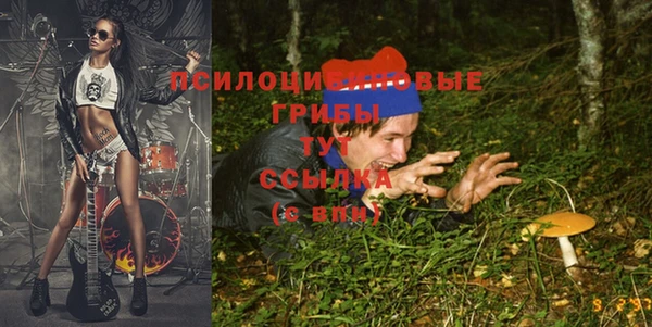 спайс Алзамай