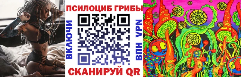 Псилоцибиновые грибы ЛСД  закладки  Котельники 