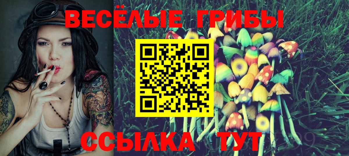 Котельники  Псилоцибиновые грибы MAGIC MUSHROOMS  цена   Вход с VPN  Псилоцибиновые грибы ЛСД 